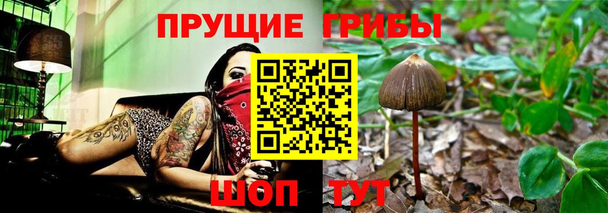 Псилоцибиновые грибы GOLDEN TEACHER Лосино-Петровский