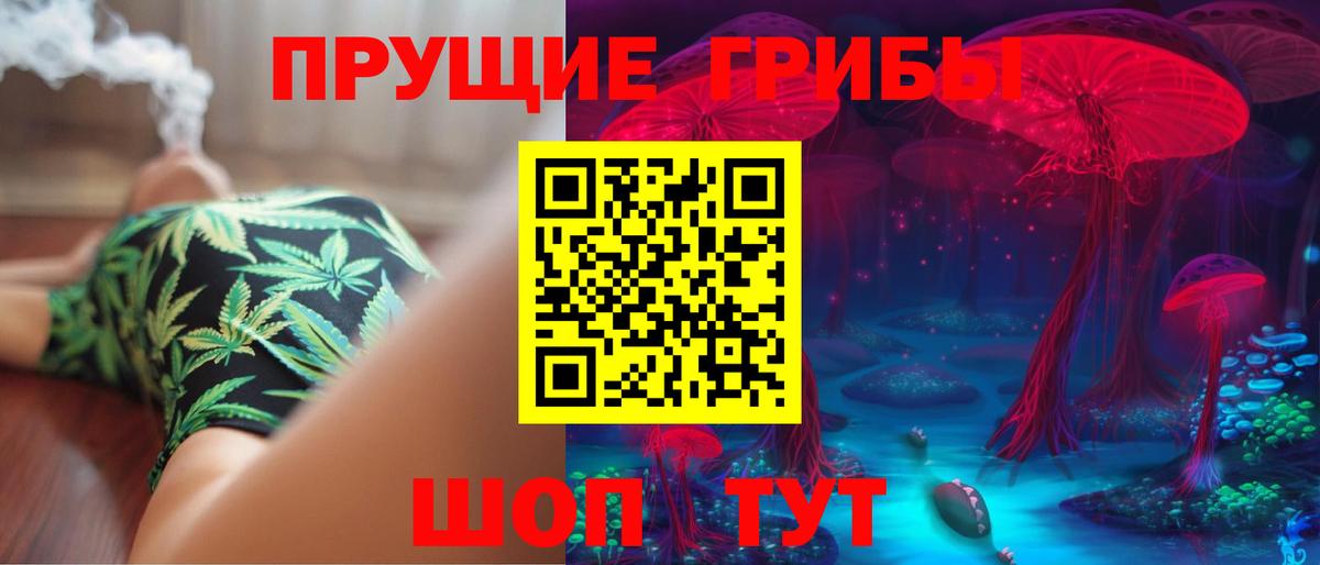 Галлюциногенные грибы GOLDEN TEACHER  Вход с VPN  Галлюциногенные грибы MAGIC MUSHROOMS  Лосино-Петровский 